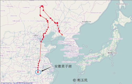 CC宝,湖南野生动物追踪,湖南卫星追踪器,湖南追踪器