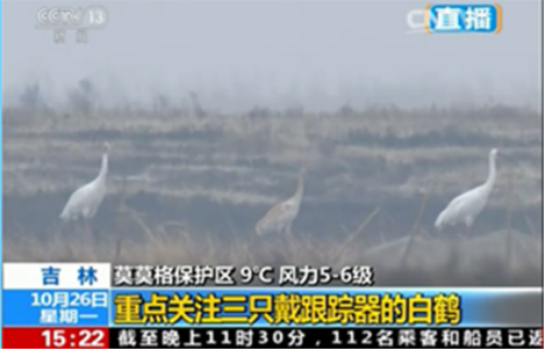CC宝,湖南野生动物追踪,湖南卫星追踪器,湖南追踪器