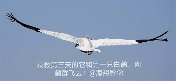 CC宝,湖南野生动物追踪,湖南卫星追踪器,湖南追踪器