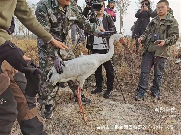 CC宝,湖南野生动物追踪,湖南卫星追踪器,湖南追踪器