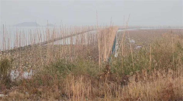CC宝,湖南野生动物追踪,湖南卫星追踪器,湖南追踪器