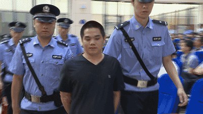 CC宝,湖南野生动物追踪,湖南卫星追踪器,湖南追踪器