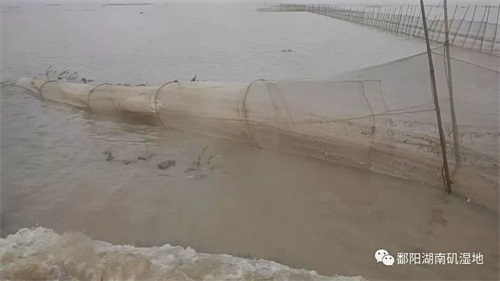 CC宝,湖南野生动物追踪,湖南卫星追踪器,湖南追踪器