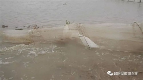 CC宝,湖南野生动物追踪,湖南卫星追踪器,湖南追踪器