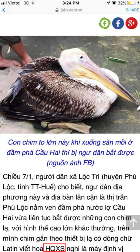 CC宝,湖南野生动物追踪,湖南卫星追踪器,湖南追踪器