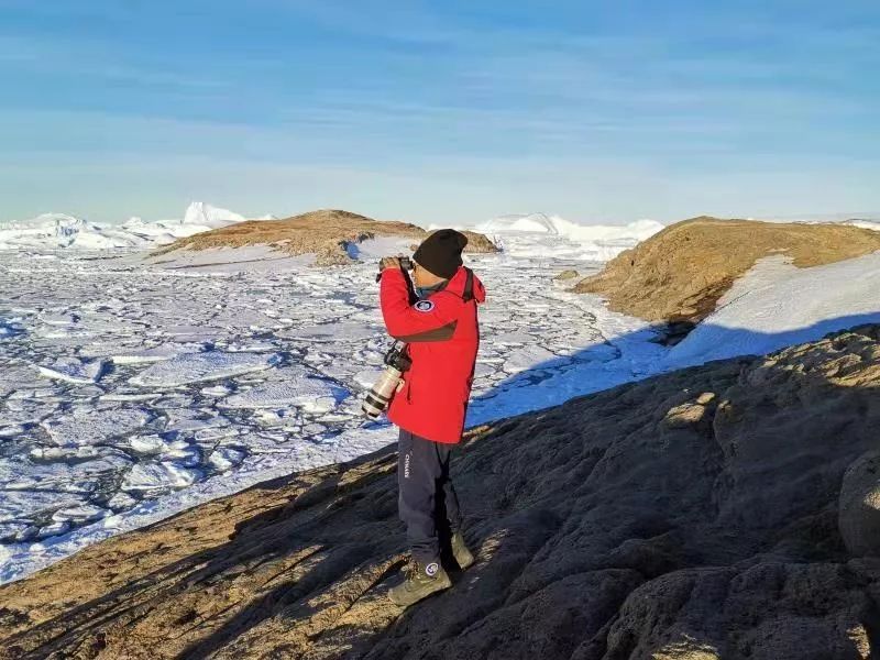 CC宝,湖南野生动物追踪,湖南卫星追踪器,湖南追踪器