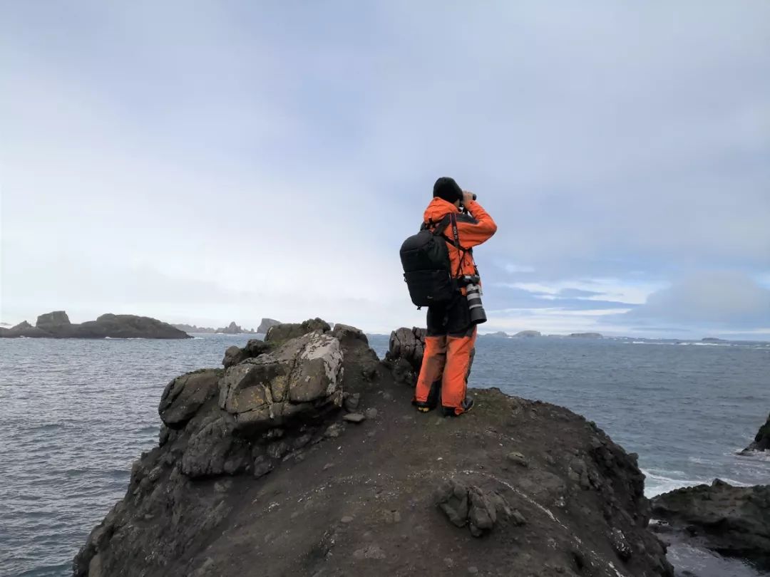 CC宝,湖南野生动物追踪,湖南卫星追踪器,湖南追踪器