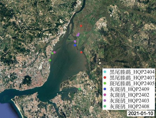 CC宝,湖南野生动物追踪,湖南卫星追踪器,湖南追踪器