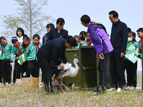 CC宝,湖南野生动物追踪,湖南卫星追踪器,湖南追踪器