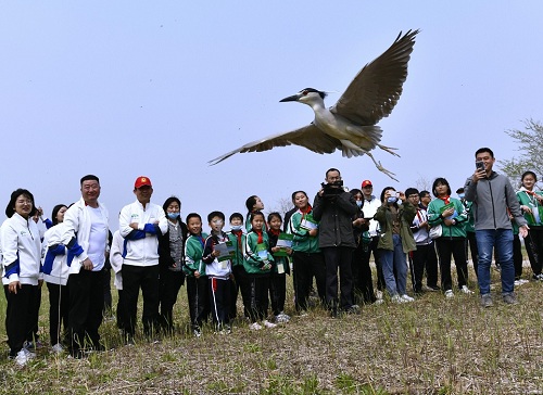 CC宝,湖南野生动物追踪,湖南卫星追踪器,湖南追踪器