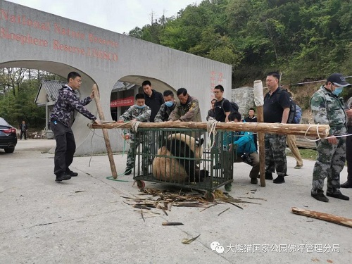 CC宝,湖南野生动物追踪,湖南卫星追踪器,湖南追踪器