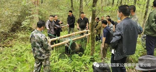 CC宝,湖南野生动物追踪,湖南卫星追踪器,湖南追踪器
