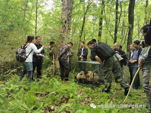 CC宝,湖南野生动物追踪,湖南卫星追踪器,湖南追踪器
