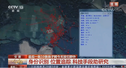 CC宝,湖南野生动物追踪,湖南卫星追踪器,湖南追踪器