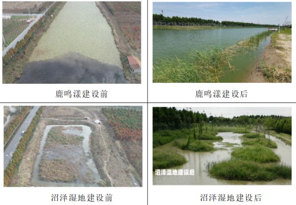 CC宝,湖南野生动物追踪,湖南卫星追踪器,湖南追踪器