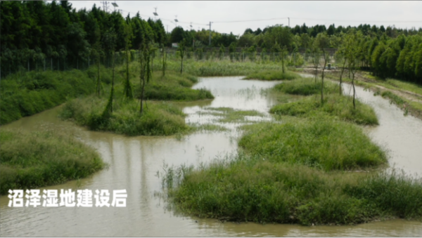 CC宝,湖南野生动物追踪,湖南卫星追踪器,湖南追踪器