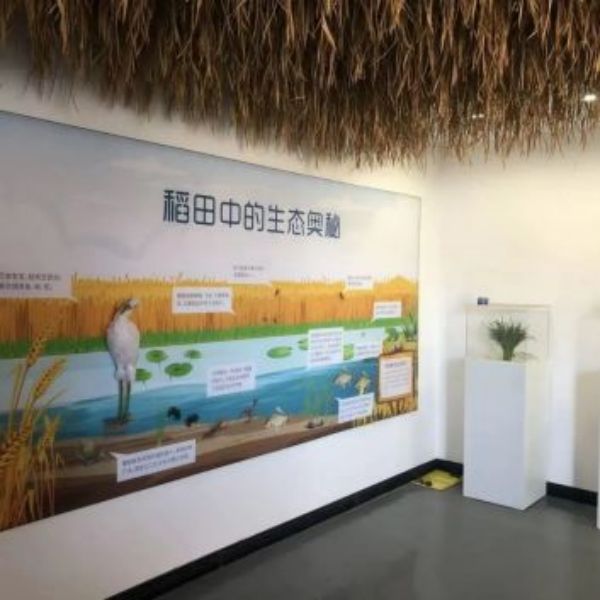 CC宝,湖南野生动物追踪,湖南卫星追踪器,湖南追踪器