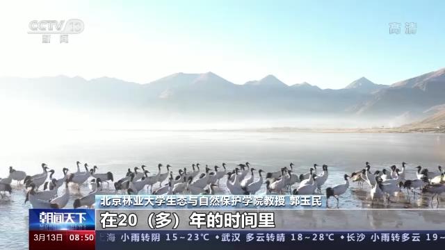 CC宝,湖南野生动物追踪,湖南卫星追踪器,湖南追踪器