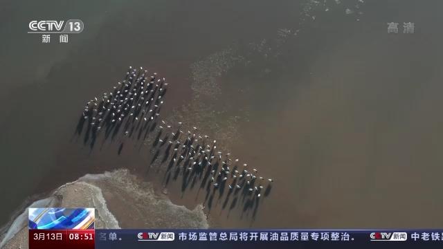 CC宝,湖南野生动物追踪,湖南卫星追踪器,湖南追踪器