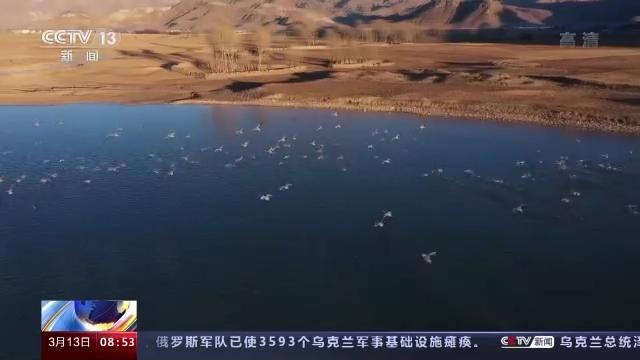 CC宝,湖南野生动物追踪,湖南卫星追踪器,湖南追踪器