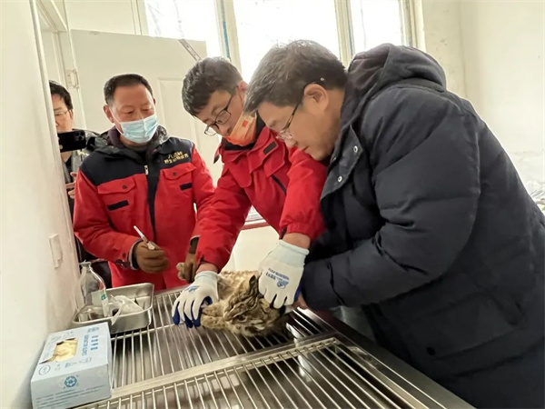 CC宝,湖南野生动物追踪,湖南卫星追踪器,湖南追踪器