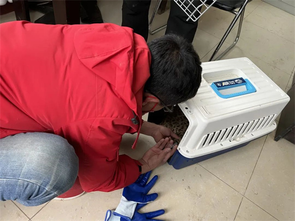 CC宝,湖南野生动物追踪,湖南卫星追踪器,湖南追踪器