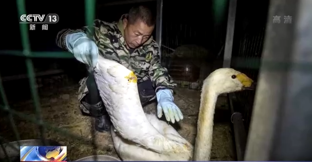 CC宝,湖南野生动物追踪,湖南卫星追踪器,湖南追踪器