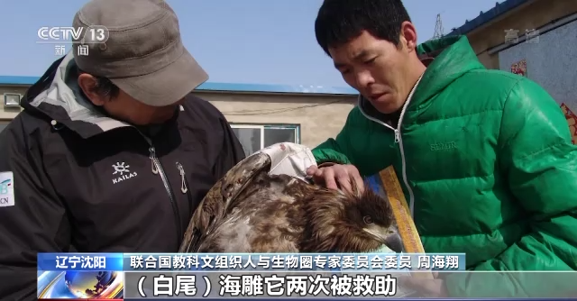 CC宝,湖南野生动物追踪,湖南卫星追踪器,湖南追踪器