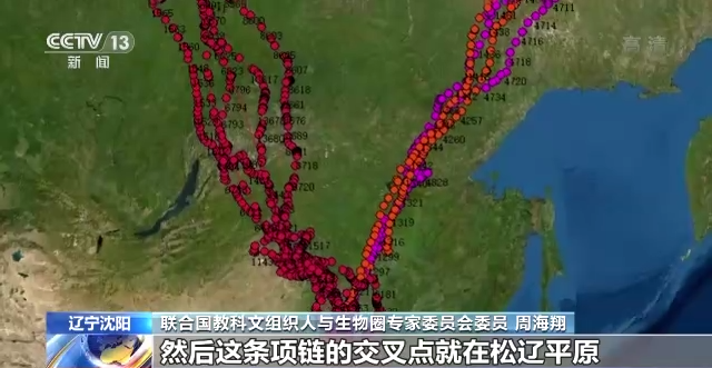 CC宝,湖南野生动物追踪,湖南卫星追踪器,湖南追踪器