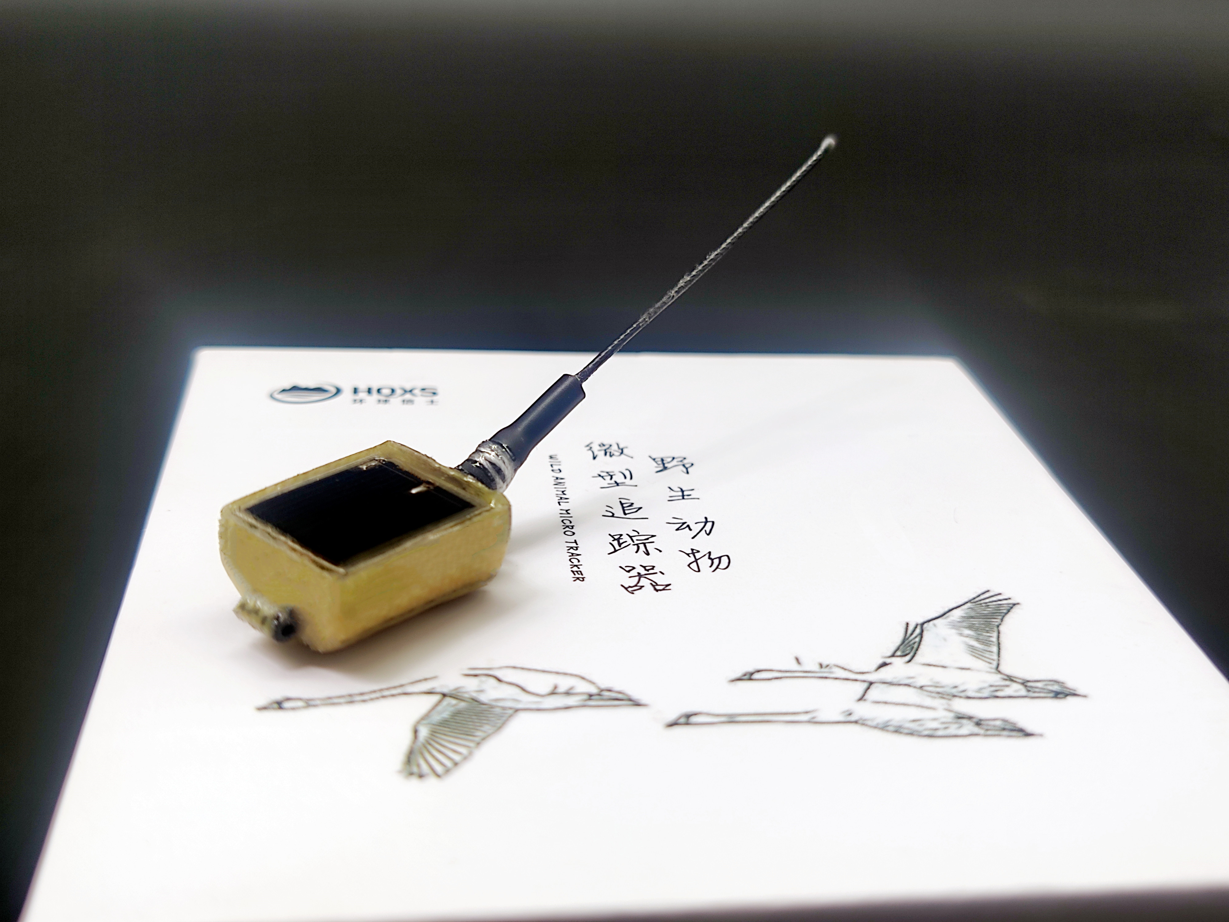 CC宝,湖南野生动物追踪,湖南卫星追踪器,湖南追踪器