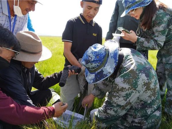 CC宝,湖南野生动物追踪,湖南卫星追踪器,湖南追踪器