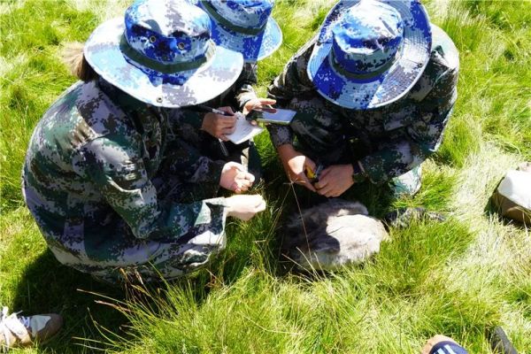 CC宝,湖南野生动物追踪,湖南卫星追踪器,湖南追踪器