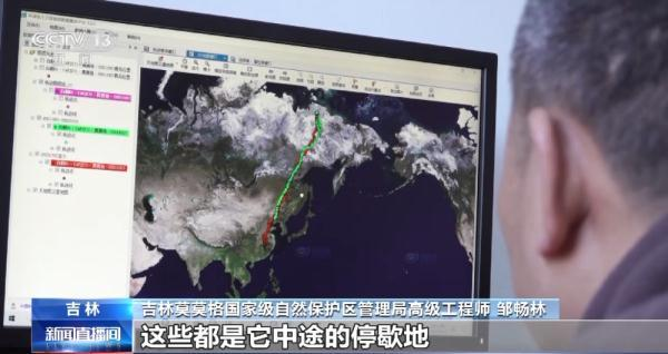 CC宝,湖南野生动物追踪,湖南卫星追踪器,湖南追踪器