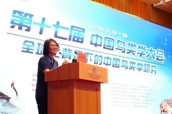 CC宝,湖南野生动物追踪,湖南卫星追踪器,湖南追踪器