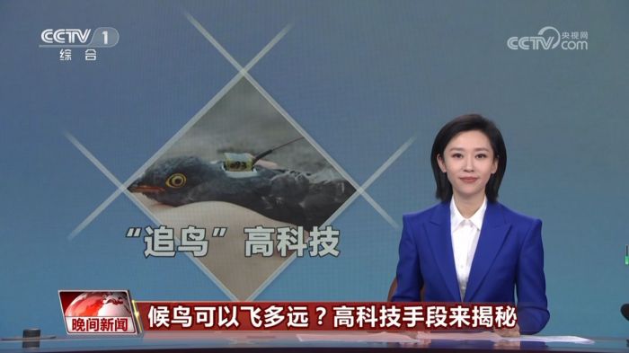 CC宝,湖南野生动物追踪,湖南卫星追踪器,湖南追踪器