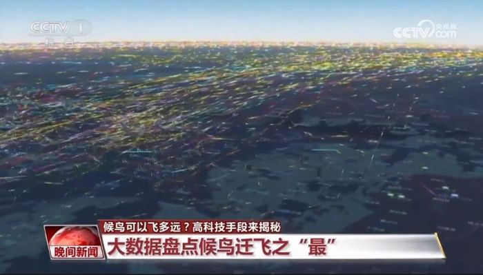 CC宝,湖南野生动物追踪,湖南卫星追踪器,湖南追踪器