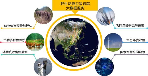 CC宝,湖南野生动物追踪,湖南卫星追踪器,湖南追踪器