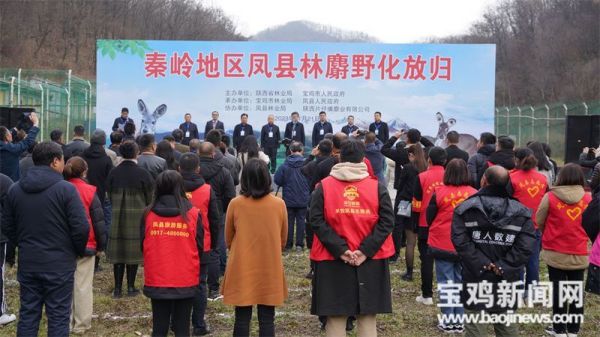 CC宝,湖南野生动物追踪,湖南卫星追踪器,湖南追踪器