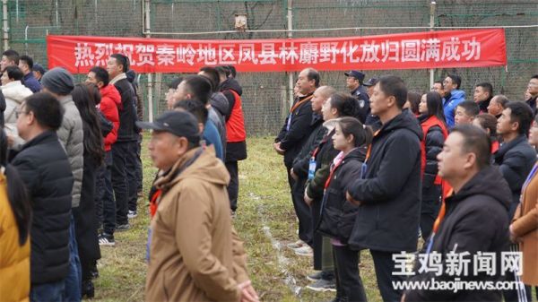 CC宝,湖南野生动物追踪,湖南卫星追踪器,湖南追踪器