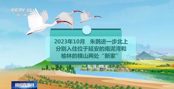 CC宝,湖南野生动物追踪,湖南卫星追踪器,湖南追踪器
