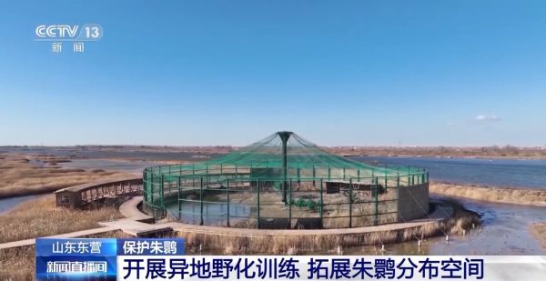 CC宝,湖南野生动物追踪,湖南卫星追踪器,湖南追踪器
