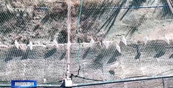 CC宝,湖南野生动物追踪,湖南卫星追踪器,湖南追踪器