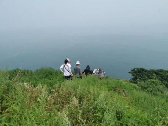CC宝,湖南野生动物追踪,湖南卫星追踪器,湖南追踪器