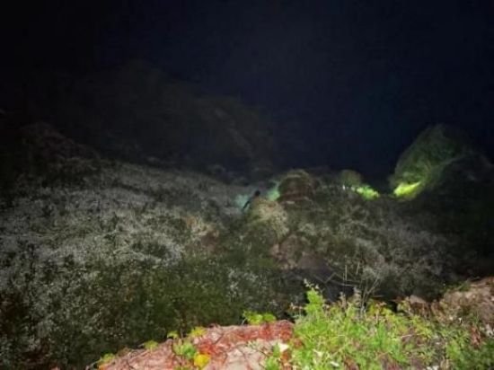 CC宝,湖南野生动物追踪,湖南卫星追踪器,湖南追踪器