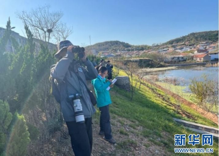 CC宝,湖南野生动物追踪,湖南卫星追踪器,湖南追踪器