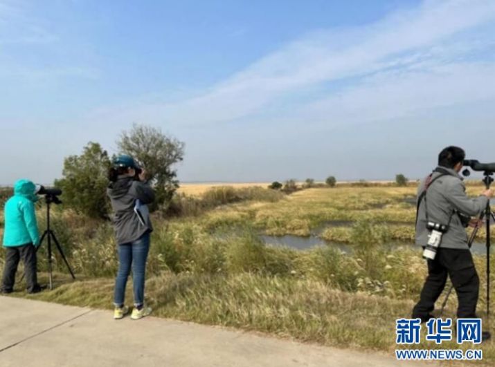 CC宝,湖南野生动物追踪,湖南卫星追踪器,湖南追踪器