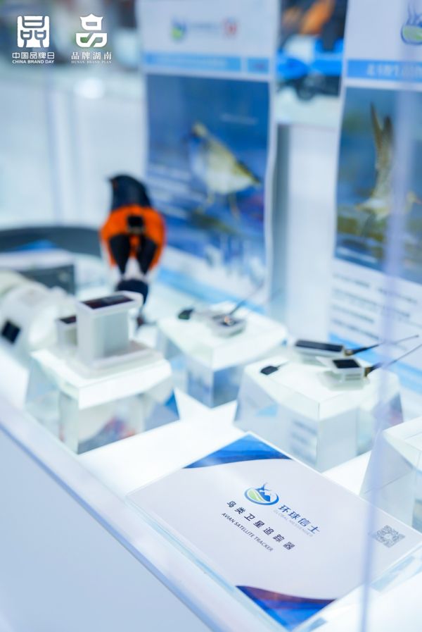 CC宝,湖南野生动物追踪,湖南卫星追踪器,湖南追踪器