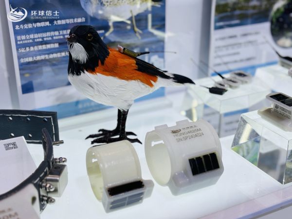 CC宝,湖南野生动物追踪,湖南卫星追踪器,湖南追踪器