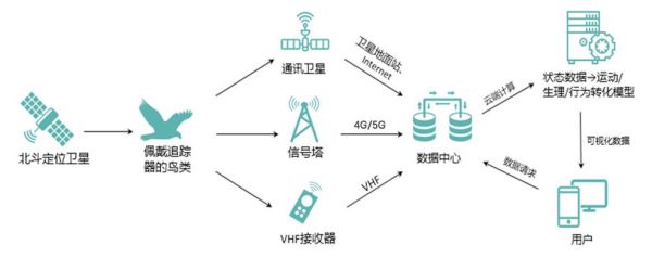 CC宝,湖南野生动物追踪,湖南卫星追踪器,湖南追踪器