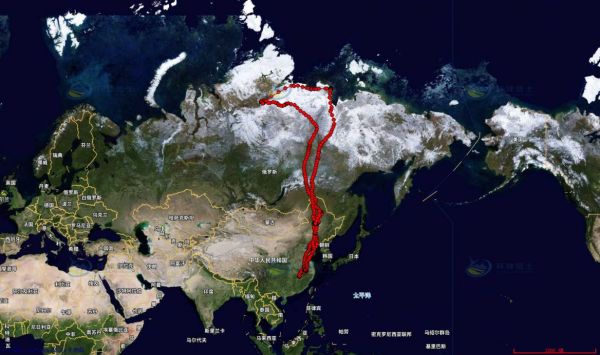 CC宝,湖南野生动物追踪,湖南卫星追踪器,湖南追踪器